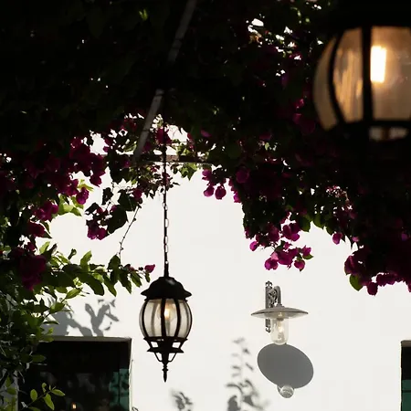 Don Alfonso Dimora D'epoca Couette-café Racale