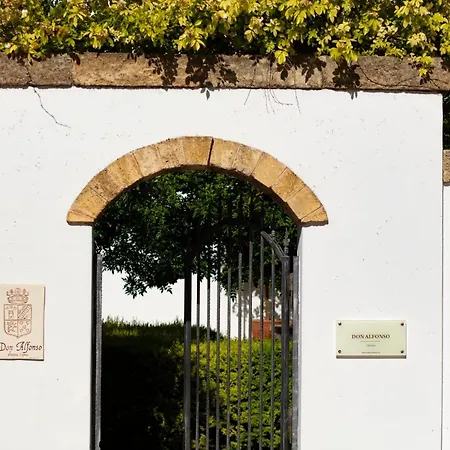 فندق مبيت وإفطار Don Alfonso Dimora D'epoca 4*